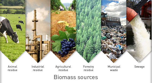 1-BIOMASS.JPG