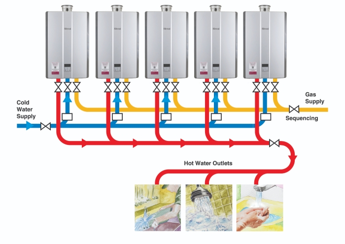 Rinai schematic N series jpg.jpg