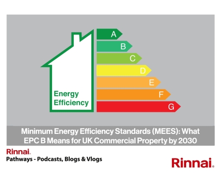 Blog 50 Minimum Energy Efficiency Standards (MEES).jpg